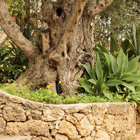 לינה וארוחת בוקר סנטה פלביה Residenza Terrazze Sul Mare מראה חיצוני תמונה