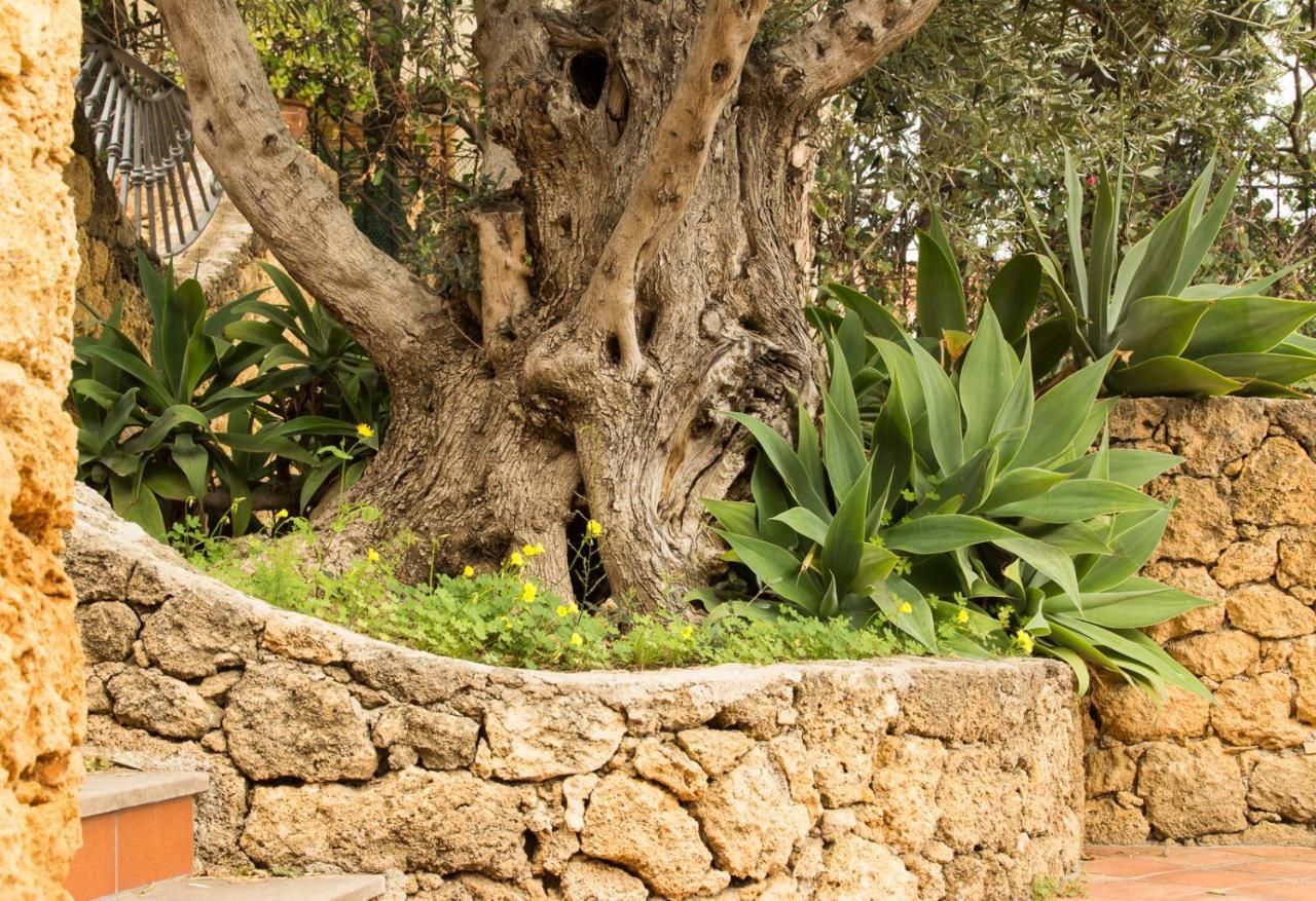 לינה וארוחת בוקר סנטה פלביה Residenza Terrazze Sul Mare מראה חיצוני תמונה